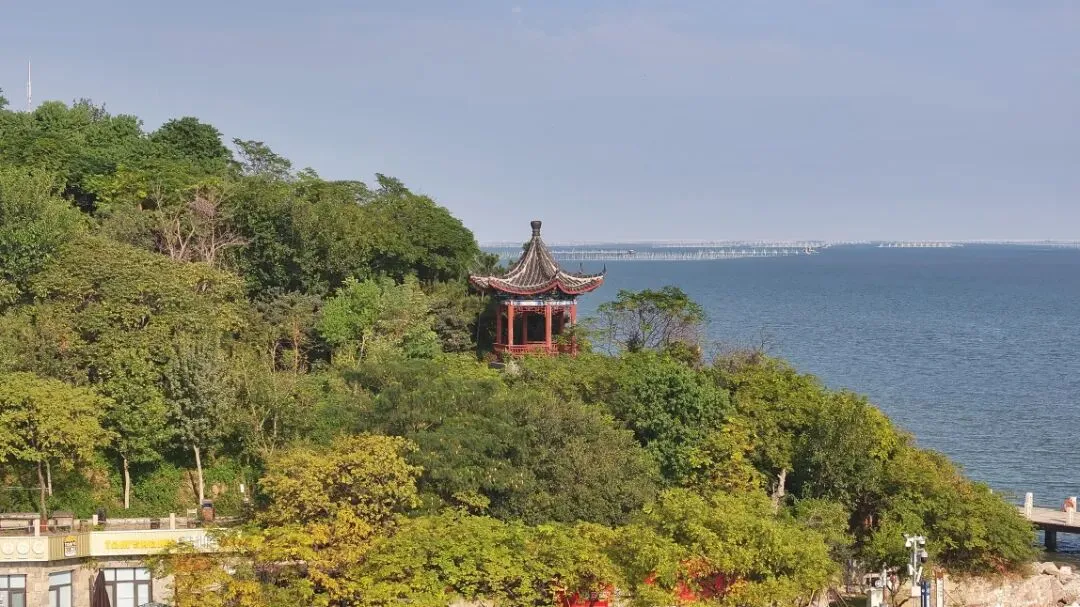 初一十五落大潮,秦山岛神路赶海指南请查收~-第3张图片-四季读书网 初一十五落大潮,秦山岛神路赶海指南请查收~-第3张图片-四季读书网
