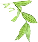 广东高考日语想拿高分真的有捷径吗 这些技巧太实用了-第7张图片-四季读书网 广东高考日语想拿高分真的有捷径吗 这些技巧太实用了-第7张图片-四季读书网