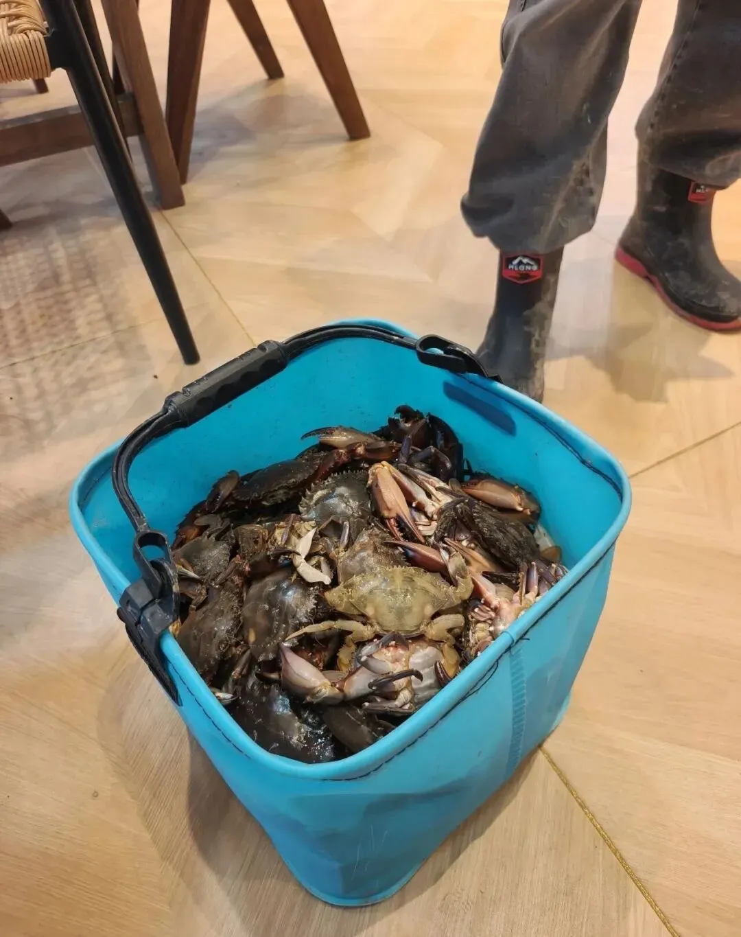 初一十五落大潮,秦山岛神路赶海指南请查收~-第15张图片-四季读书网 初一十五落大潮,秦山岛神路赶海指南请查收~-第15张图片-四季读书网