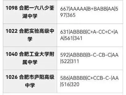 合肥市区2026年中考部分初中学校省示范高中指标到校情况,仅供参考!-第35张图片-四季读书网