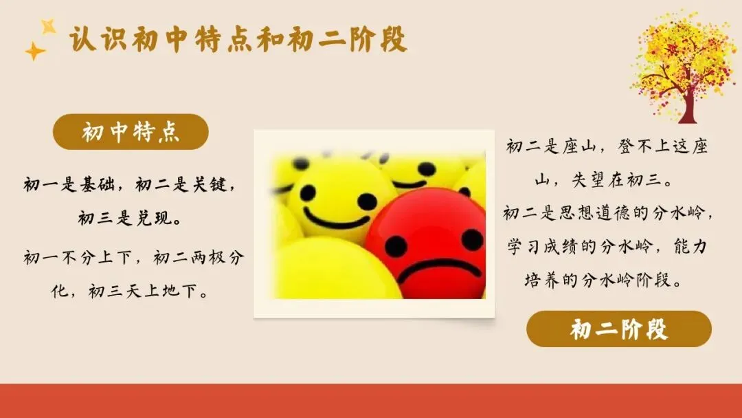 初二(八年级)上期中家长会ppt:汇聚璀璨之光,照亮成长之路.含发言稿-第22张图片-四季读书网 初二(八年级)上期中家长会ppt:汇聚璀璨之光,照亮成长之路.含发言稿-第22张图片-四季读书网