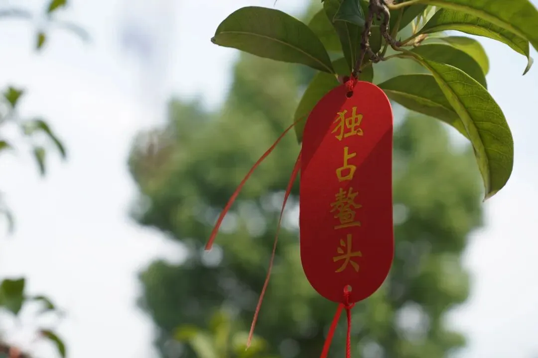 湖畔首届中考 愿旗开得胜 金榜题名!-第86张图片-四季读书网 湖畔首届中考 愿旗开得胜 金榜题名!-第86张图片-四季读书网