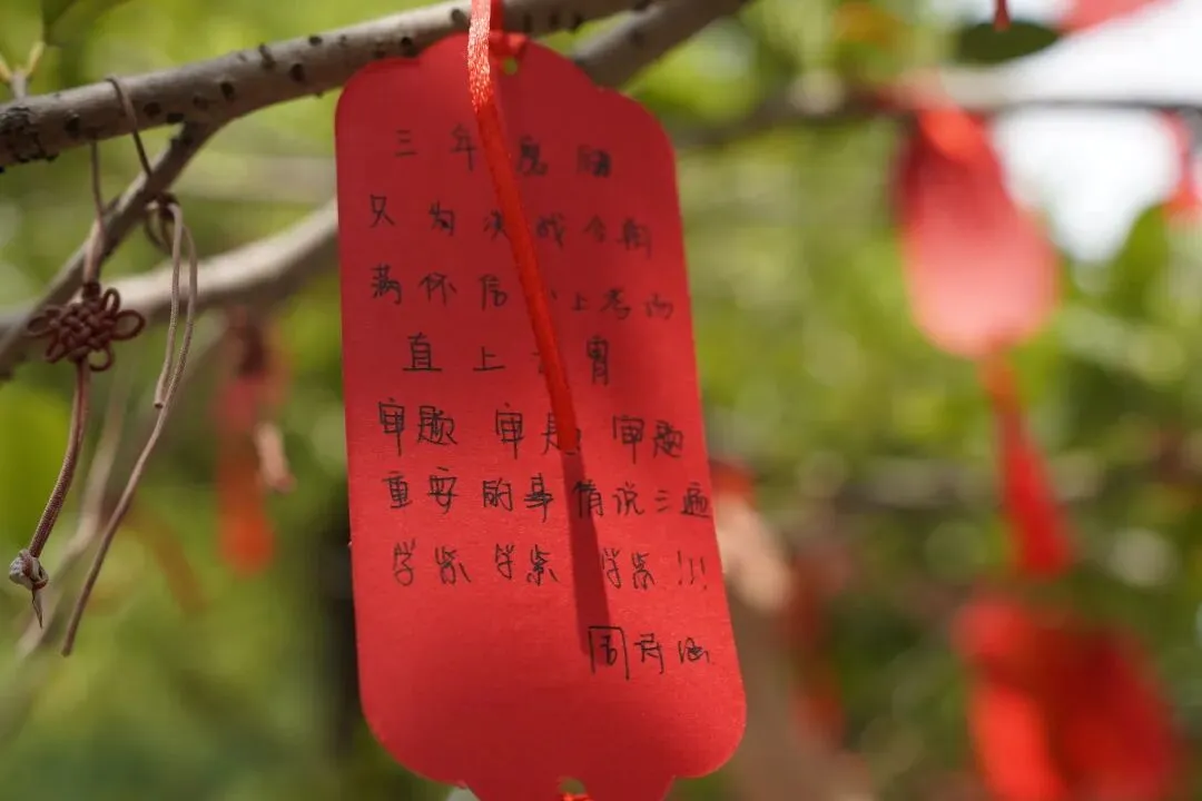 湖畔首届中考 愿旗开得胜 金榜题名!-第88张图片-四季读书网 湖畔首届中考 愿旗开得胜 金榜题名!-第88张图片-四季读书网