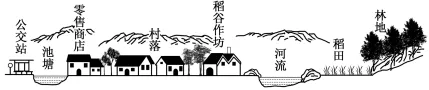 高考地理近几年真题汇总(农业部分)-第5张图片-四季读书网 高考地理近几年真题汇总(农业部分)-第5张图片-四季读书网
