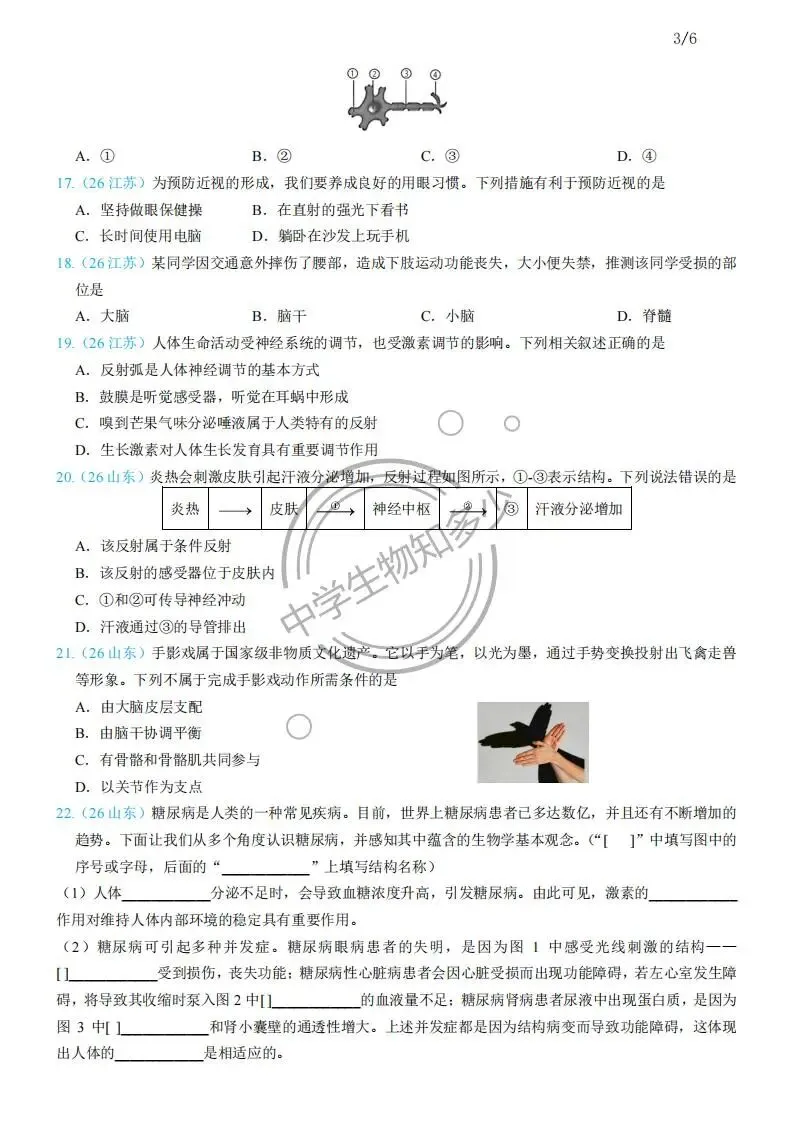 2026年中考生物试题汇编:人体生理与健康-人体生命活动的调节31道-PDF版-第2张图片-四季读书网 2026年中考生物试题汇编:人体生理与健康-人体生命活动的调节31道-PDF版-第2张图片-四季读书网