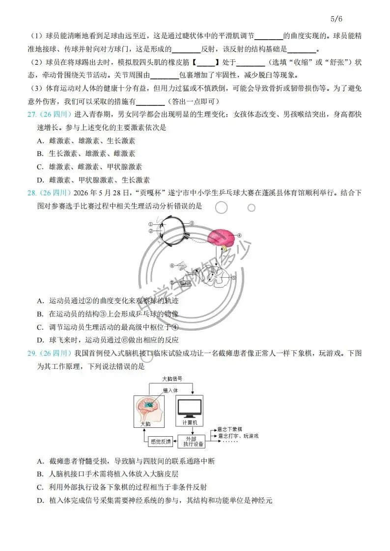 2026年中考生物试题汇编:人体生理与健康-人体生命活动的调节31道-PDF版-第3张图片-四季读书网 2026年中考生物试题汇编:人体生理与健康-人体生命活动的调节31道-PDF版-第3张图片-四季读书网
