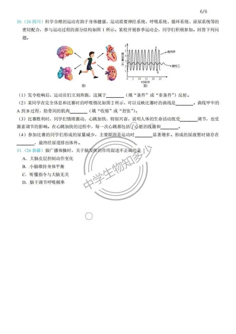 2026年中考生物试题汇编:人体生理与健康-人体生命活动的调节31道-PDF版-第4张图片-四季读书网 2026年中考生物试题汇编:人体生理与健康-人体生命活动的调节31道-PDF版-第4张图片-四季读书网
