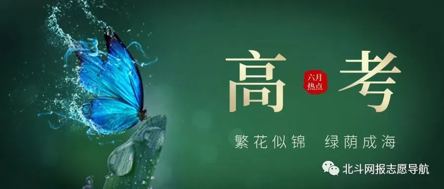 内蒙古:2027年高考专业选择-航空航天-第1张图片-四季读书网