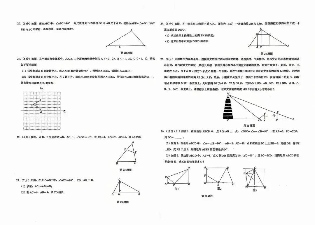 高新唐南中学九年级上册第一次月考数学试卷-第2张图片-四季读书网