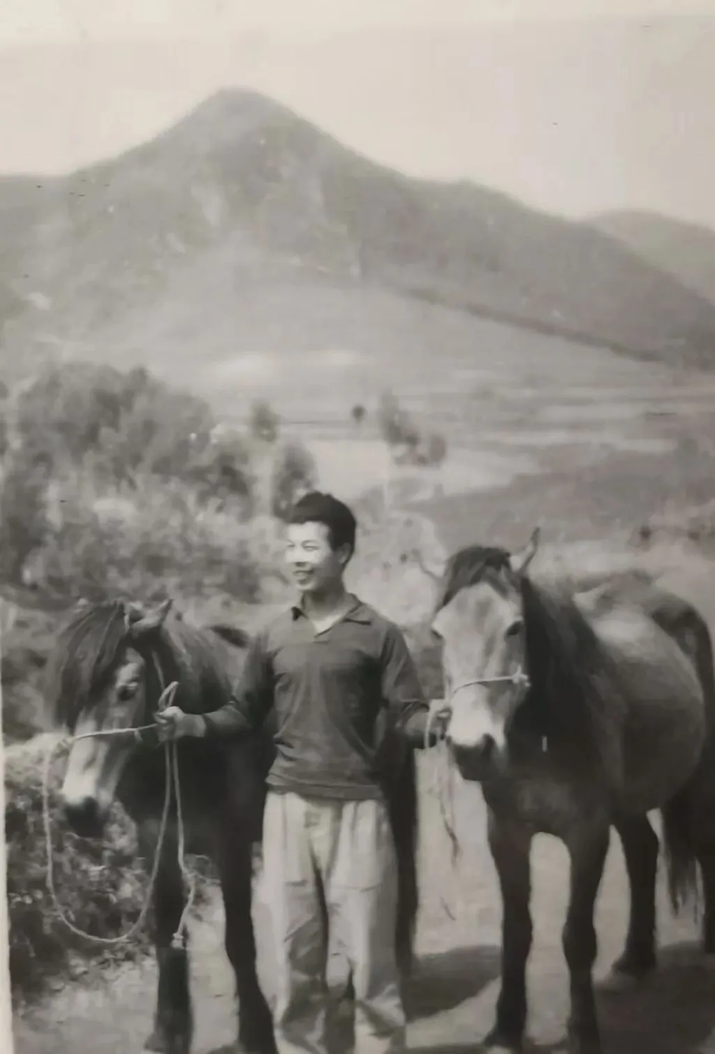 蒋廷梁|77、78高考回忆录4:这个梦做得太久了(连载之一)-第1张图片-四季读书网