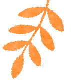 研思深耕中考路,聚力提质启新程——范敏会工作室参加市初三语文复习研讨活动纪实-第10张图片-四季读书网