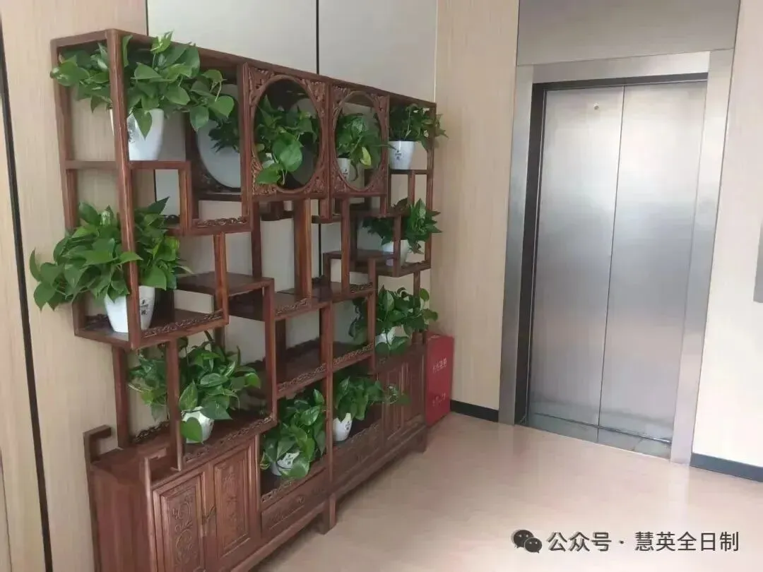 慧英高考2027届高考全日制 茂花路全封闭校区 招生简章(应届生和复读生)-第7张图片-四季读书网