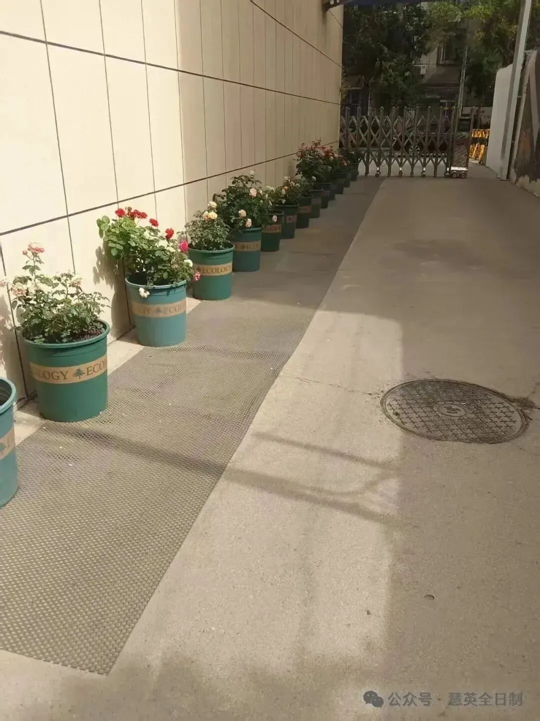 慧英高考2027届高考全日制 茂花路全封闭校区 招生简章(应届生和复读生)-第10张图片-四季读书网