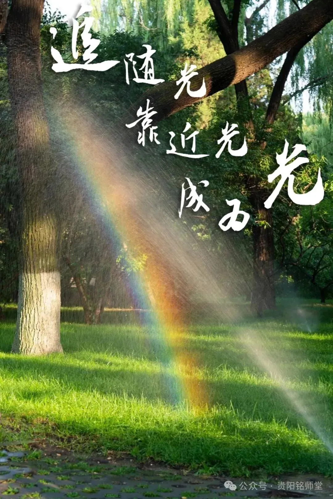 贵阳贵安2027届中考报名10月12日至21日!这些细节要注意|跨区读初中报名,选择户籍地or学籍地?哪种升学优势更大?附报名材料!-第23张图片-四季读书网