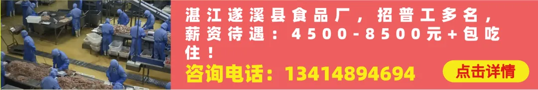 【推广】徐闻本地招生,小高考培训|数学·英语冲刺 !-第3张图片-四季读书网