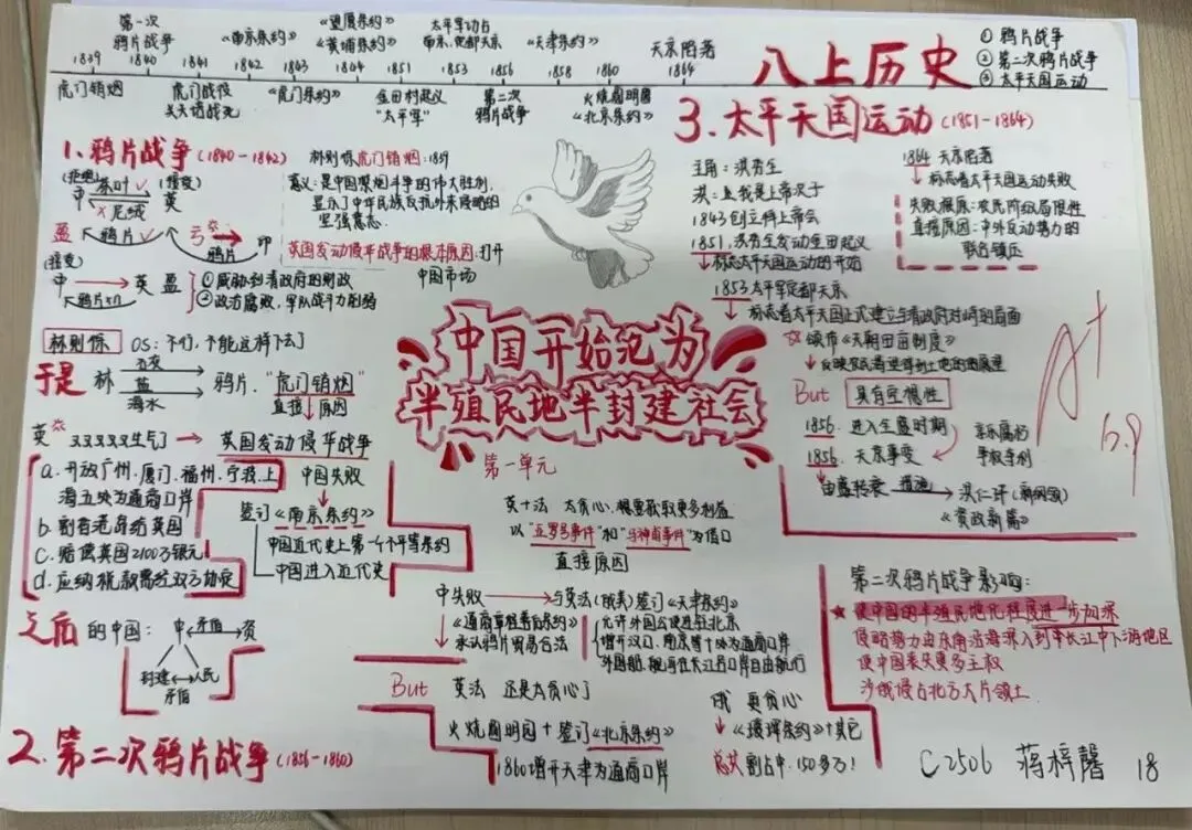 ��初二学子笔下的文综作品,绝美!-第33张图片-四季读书网