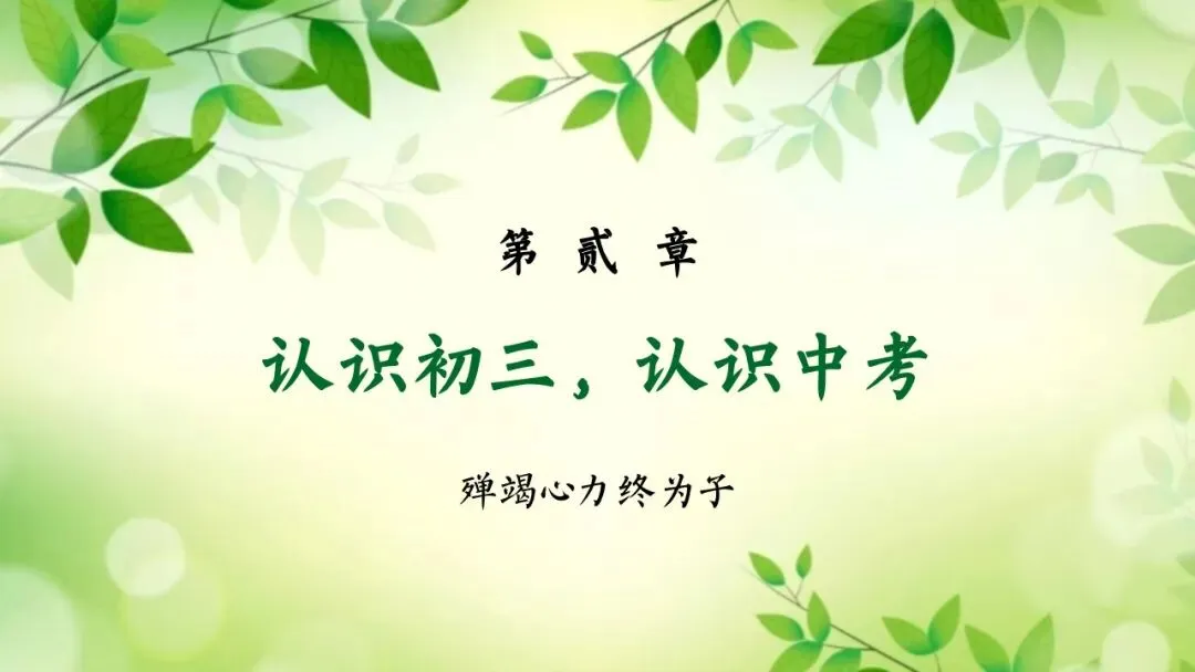 初三期中家长会,全程重点没有废话-第13张图片-四季读书网 初三期中家长会,全程重点没有废话-第13张图片-四季读书网