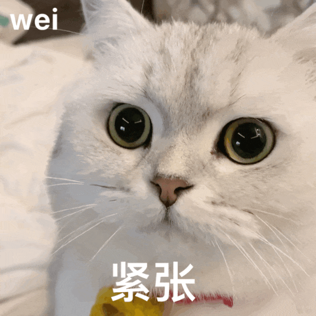 贵阳中考报名第一天!报名选错区,孩子可能白考40分?-第10张图片-四季读书网 贵阳中考报名第一天!报名选错区,孩子可能白考40分?-第10张图片-四季读书网