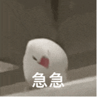 贵阳中考报名第一天!报名选错区,孩子可能白考40分?-第12张图片-四季读书网 贵阳中考报名第一天!报名选错区,孩子可能白考40分?-第12张图片-四季读书网