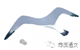 第3588期【聚焦高考】2027届高考语言文字运用·考点01通用解题思维与语境意识(培优复习讲义)-第1张图片-四季读书网 第3588期【聚焦高考】2027届高考语言文字运用·考点01通用解题思维与语境意识(培优复习讲义)-第1张图片-四季读书网