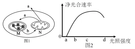 每日一练 | 高考生物专题训练突破!(51)-第3张图片-四季读书网 每日一练 | 高考生物专题训练突破!(51)-第3张图片-四季读书网