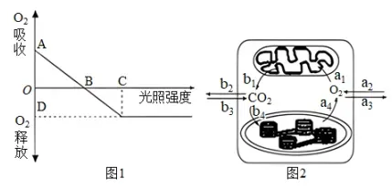 每日一练 | 高考生物专题训练突破!(51)-第5张图片-四季读书网 每日一练 | 高考生物专题训练突破!(51)-第5张图片-四季读书网
