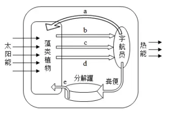 每日一练 | 高考生物专题训练突破!(51)-第6张图片-四季读书网 每日一练 | 高考生物专题训练突破!(51)-第6张图片-四季读书网