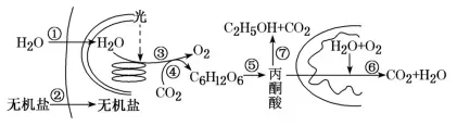 每日一练 | 高考生物专题训练突破!(51)-第7张图片-四季读书网 每日一练 | 高考生物专题训练突破!(51)-第7张图片-四季读书网