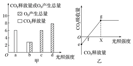 每日一练 | 高考生物专题训练突破!(51)-第9张图片-四季读书网 每日一练 | 高考生物专题训练突破!(51)-第9张图片-四季读书网