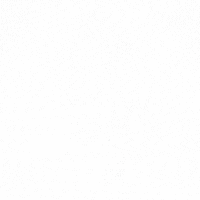 【聚焦高考】2027届高考语言文字运用·考点02(培优复习讲义)字音字形、词语成语与病句辨析-第8张图片-四季读书网