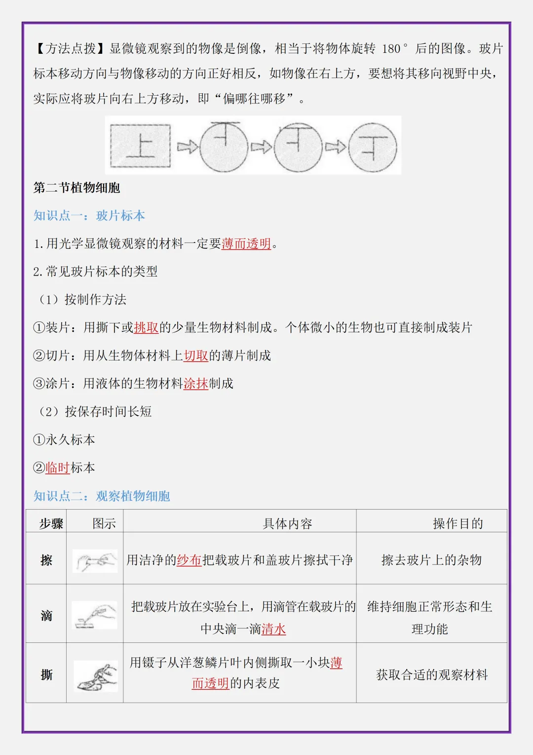 【初一】2026秋七年级上册生物全册考点清单知识点归纳复习提纲,有高清完整版可打印-第8张图片-四季读书网 【初一】2026秋七年级上册生物全册考点清单知识点归纳复习提纲,有高清完整版可打印-第8张图片-四季读书网