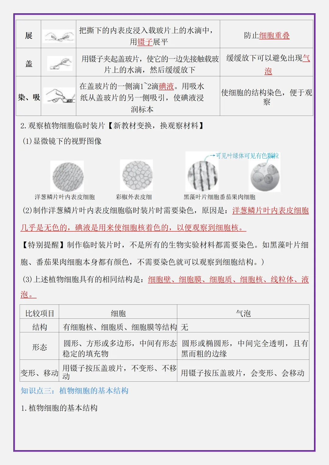 【初一】2026秋七年级上册生物全册考点清单知识点归纳复习提纲,有高清完整版可打印-第9张图片-四季读书网 【初一】2026秋七年级上册生物全册考点清单知识点归纳复习提纲,有高清完整版可打印-第9张图片-四季读书网