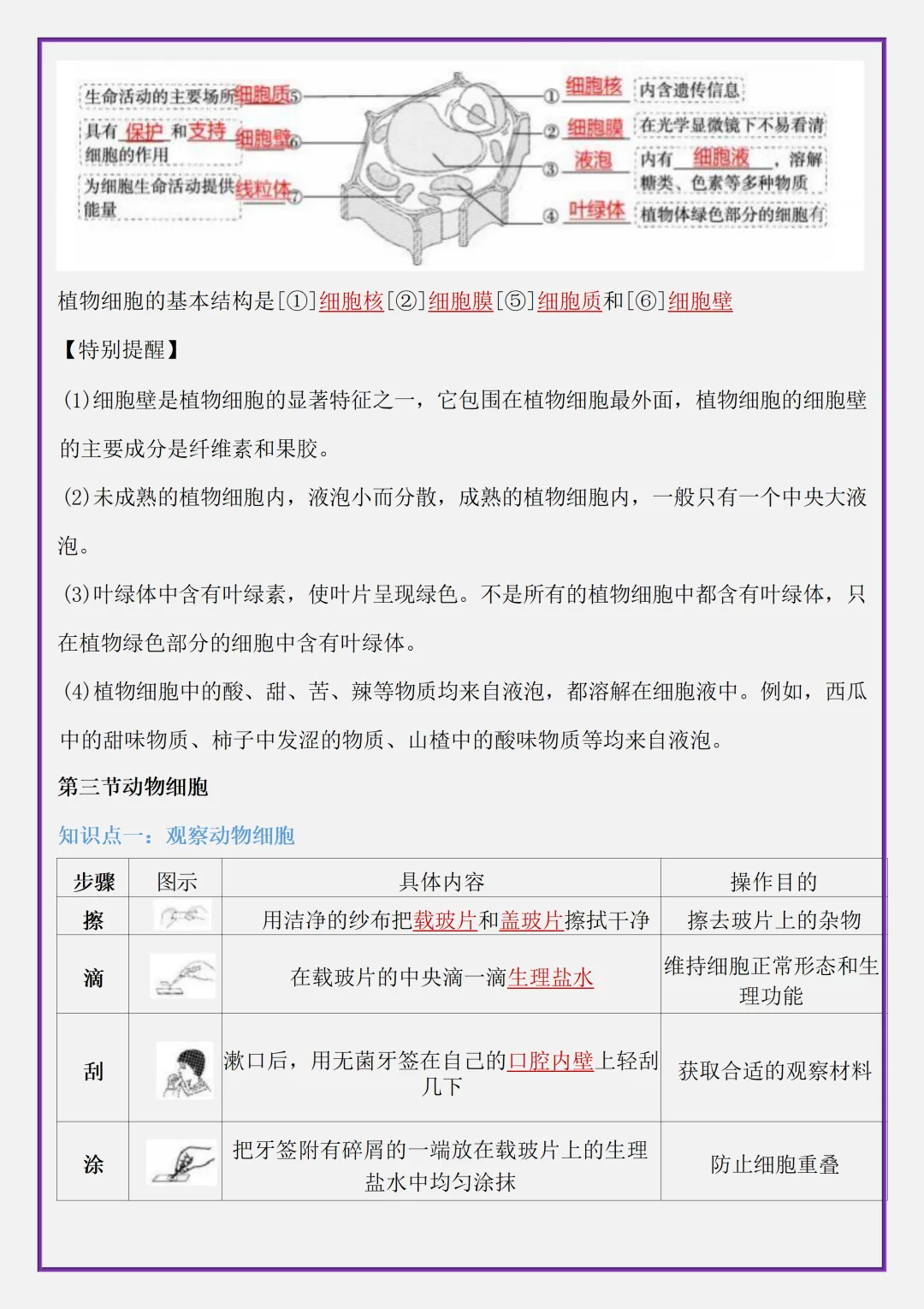 【初一】2026秋七年级上册生物全册考点清单知识点归纳复习提纲,有高清完整版可打印-第10张图片-四季读书网 【初一】2026秋七年级上册生物全册考点清单知识点归纳复习提纲,有高清完整版可打印-第10张图片-四季读书网