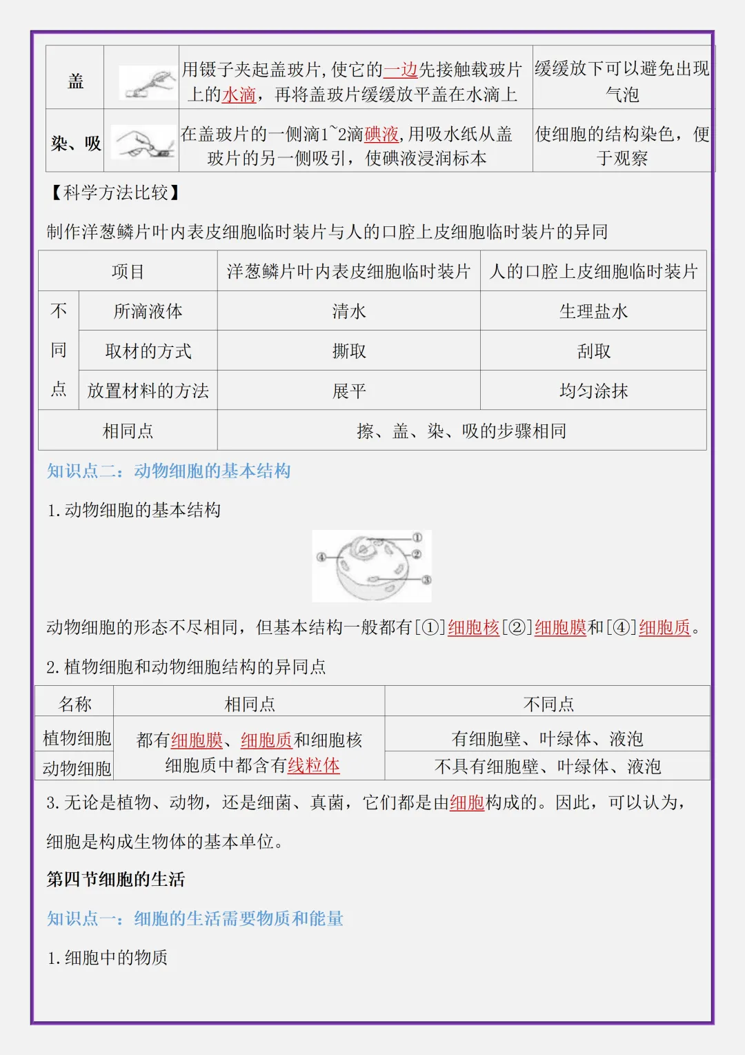 【初一】2026秋七年级上册生物全册考点清单知识点归纳复习提纲,有高清完整版可打印-第11张图片-四季读书网 【初一】2026秋七年级上册生物全册考点清单知识点归纳复习提纲,有高清完整版可打印-第11张图片-四季读书网