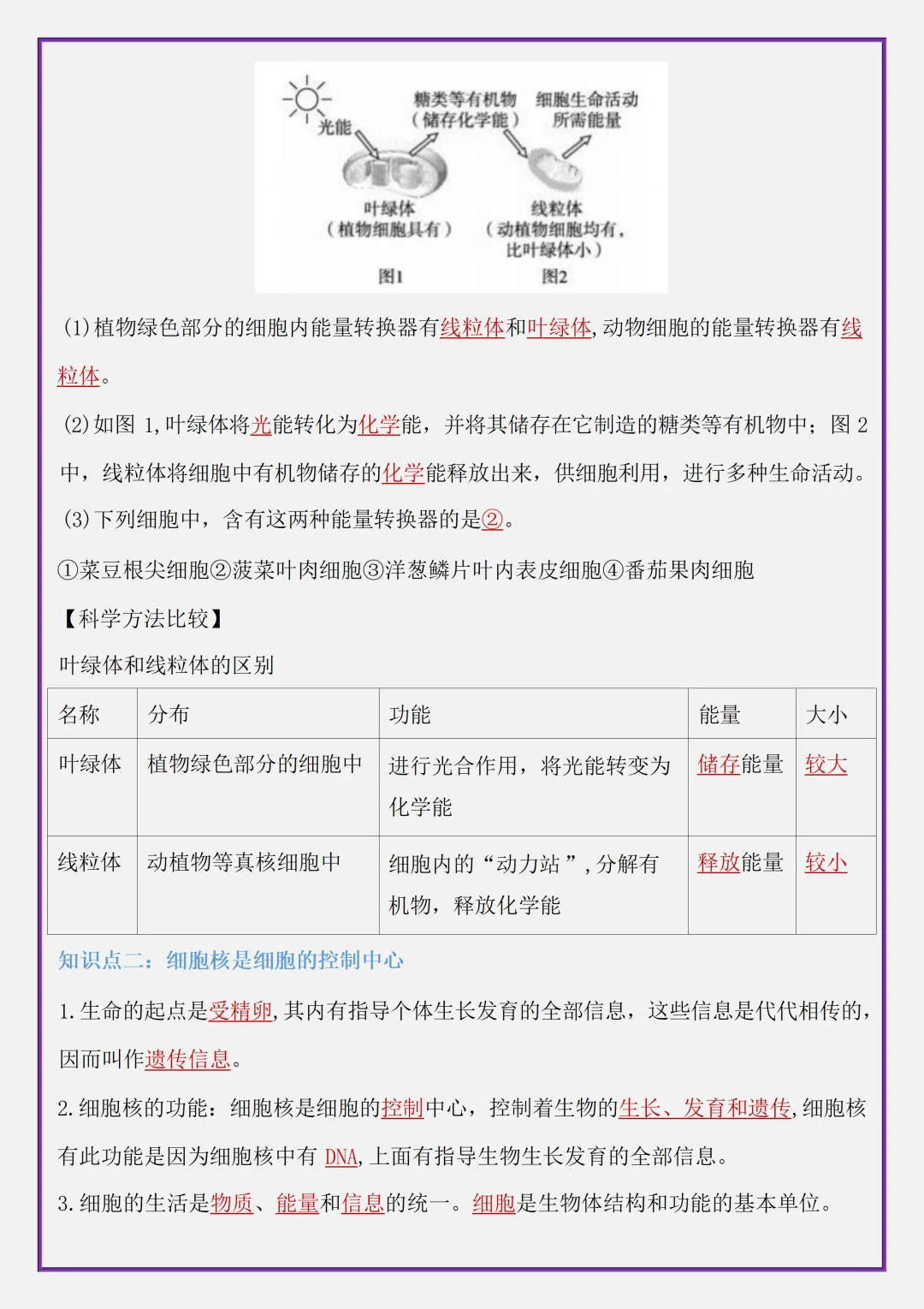 【初一】2026秋七年级上册生物全册考点清单知识点归纳复习提纲,有高清完整版可打印-第13张图片-四季读书网 【初一】2026秋七年级上册生物全册考点清单知识点归纳复习提纲,有高清完整版可打印-第13张图片-四季读书网