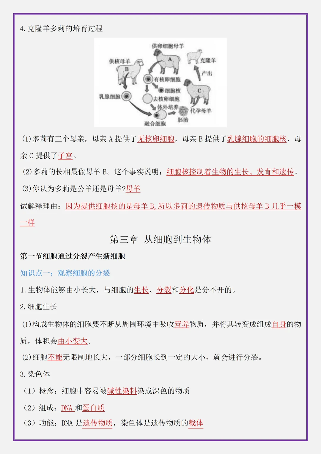 【初一】2026秋七年级上册生物全册考点清单知识点归纳复习提纲,有高清完整版可打印-第14张图片-四季读书网 【初一】2026秋七年级上册生物全册考点清单知识点归纳复习提纲,有高清完整版可打印-第14张图片-四季读书网