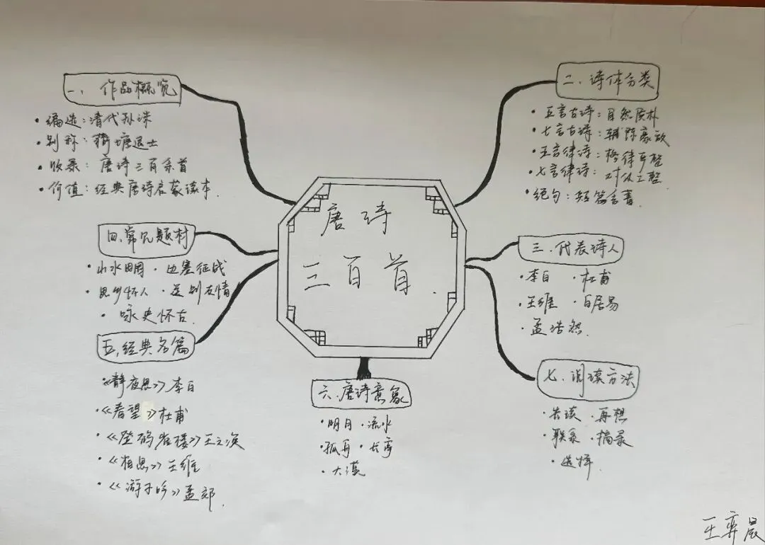 笔绘思维 聚力成长 ——牛一板桥学校初三年级举办优秀思维导图作业展-第14张图片-四季读书网