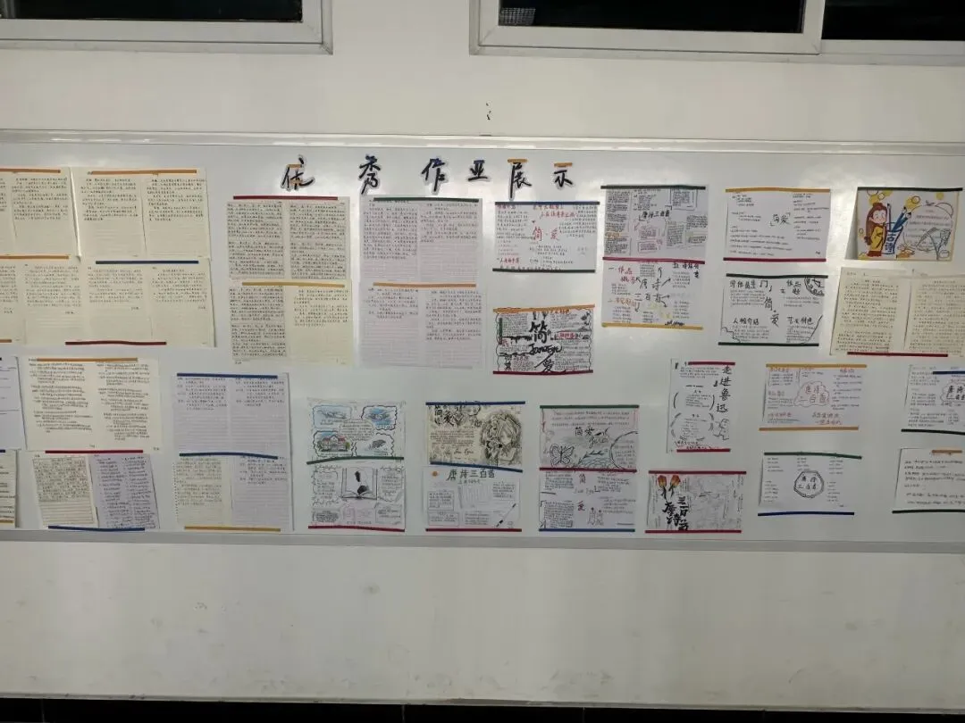 笔绘思维 聚力成长 ——牛一板桥学校初三年级举办优秀思维导图作业展-第60张图片-四季读书网