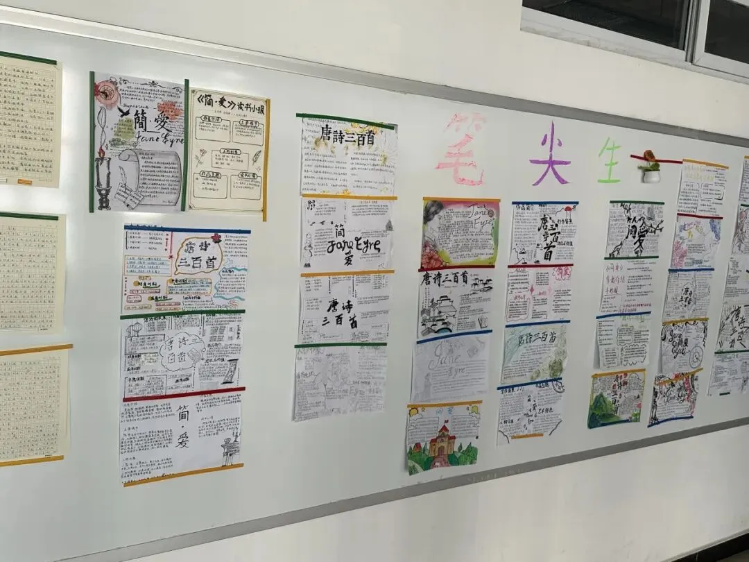 笔绘思维 聚力成长 ——牛一板桥学校初三年级举办优秀思维导图作业展-第62张图片-四季读书网