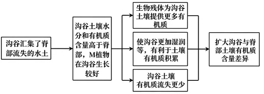2026年高考福建卷地理真题及方答案-第13张图片-四季读书网 2026年高考福建卷地理真题及方答案-第13张图片-四季读书网