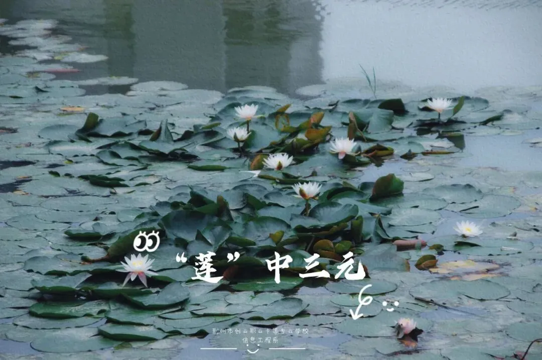 中考倒计时40天 收下这份独具“创业浪漫”的礼物-第6张图片-四季读书网
