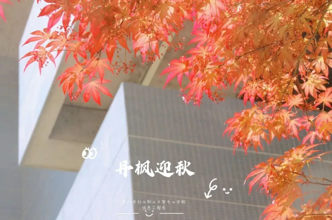 中考倒计时40天 收下这份独具“创业浪漫”的礼物-第7张图片-四季读书网