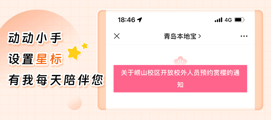 10月14日起!2026山东省成人高考准考证打印开始!-第8张图片-四季读书网 10月14日起!2026山东省成人高考准考证打印开始!-第8张图片-四季读书网