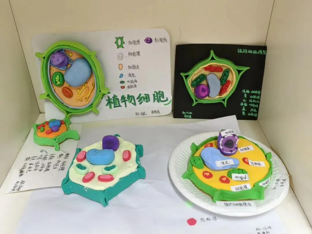 初一年级生物学科实践活动圆满举行-第10张图片-四季读书网