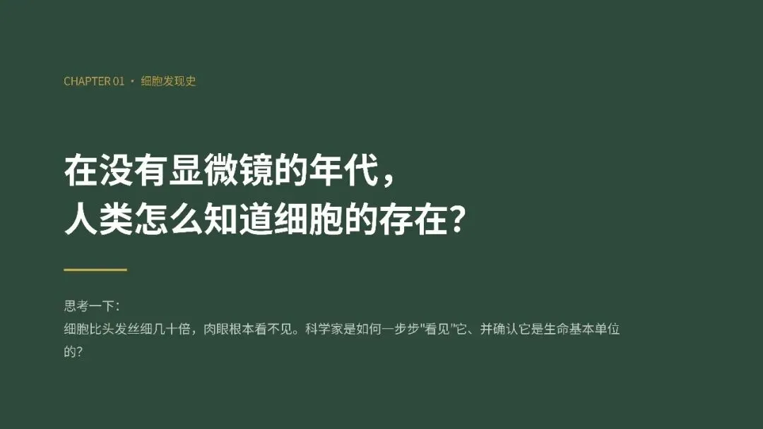初一年级生物学科实践活动圆满举行-第16张图片-四季读书网