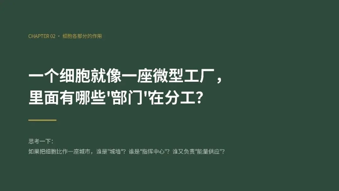 初一年级生物学科实践活动圆满举行-第20张图片-四季读书网