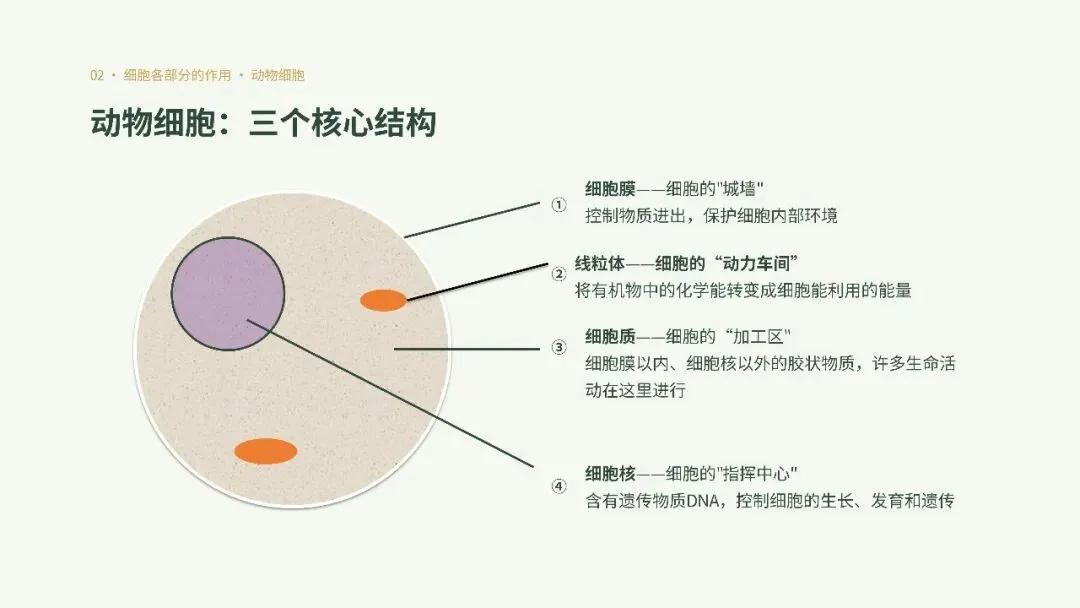 初一年级生物学科实践活动圆满举行-第21张图片-四季读书网