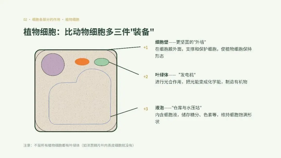 初一年级生物学科实践活动圆满举行-第22张图片-四季读书网