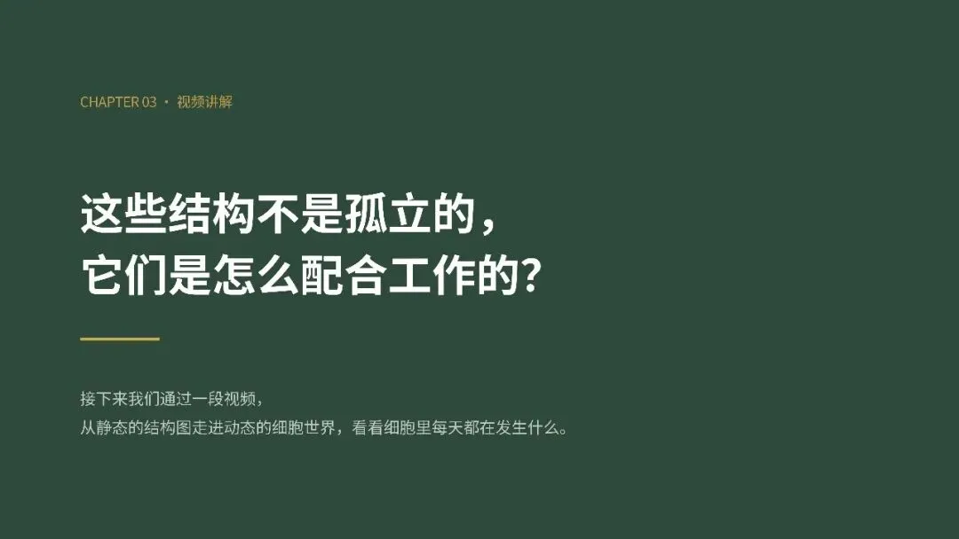 初一年级生物学科实践活动圆满举行-第24张图片-四季读书网