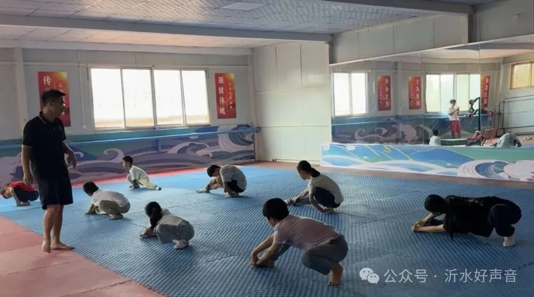 沂水普体高考、单招、少儿武术-第3张图片-四季读书网 沂水普体高考、单招、少儿武术-第3张图片-四季读书网